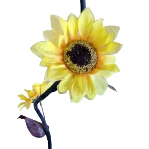 Купить Сухоцвет с подсолнухами 888-8 (цена за ветку) 145см