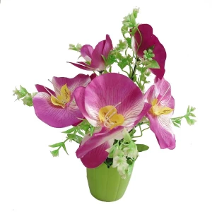 Фото Цветы в горшке 5 орхидей с мелкими цветочками