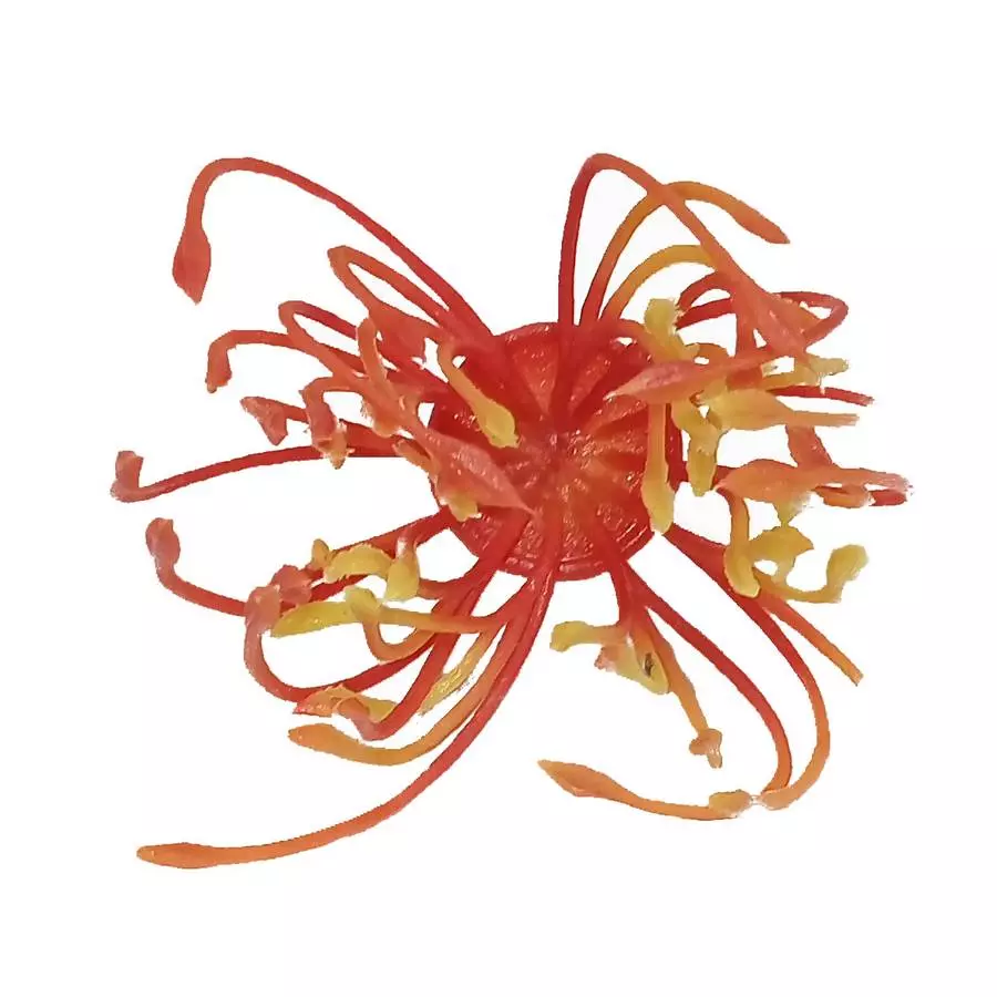 Добавка тычинка густая красная с оранжевыми кончиками с ножкой 6см 532шт/кг фото 2