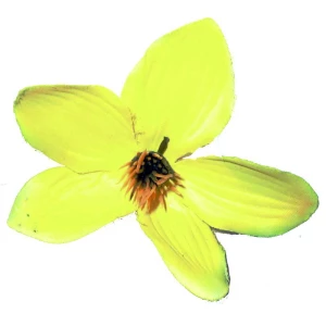 Фотка Головка тропический цветок 20049 9см