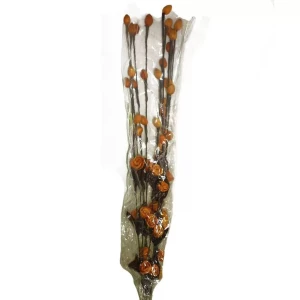 Купить в Йошкар-Оле Сухоцвет с цветками ассорти 942-16 100см