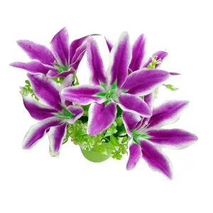 Фотография Цветы в горшке 5 лилий с зеленью