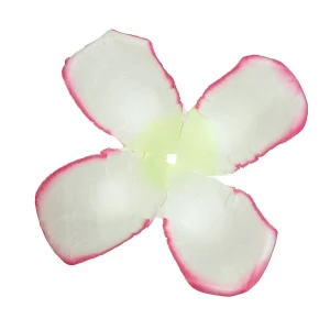 Товар Заг-ка для розы YZ-3 белой с розов.кантом 1-й сл. 4-кон. 12-14см 1049шт/кг