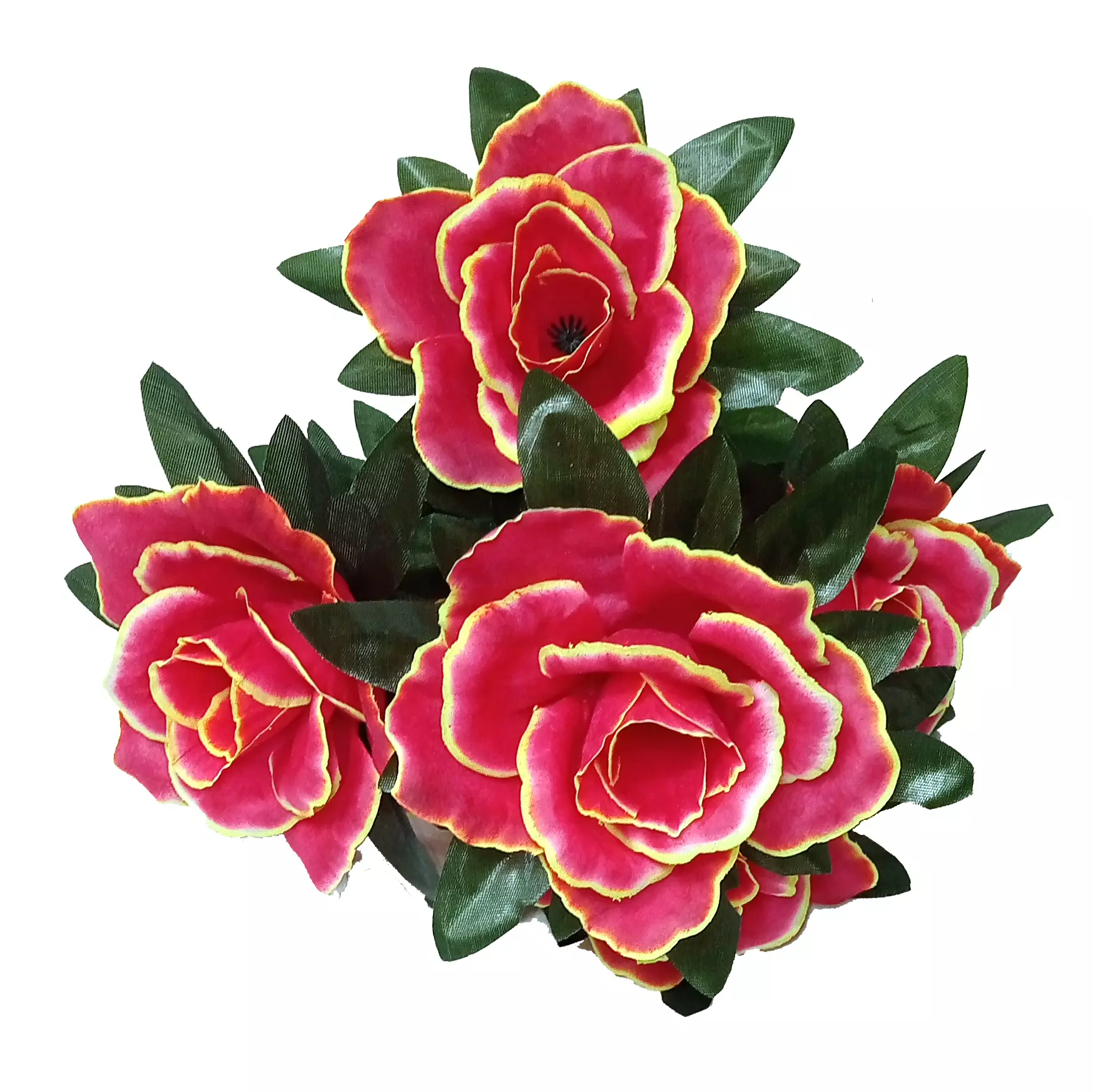 Фотография Букет с розами 6 голов 49см 480-772