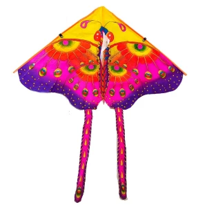 Фотография Змей воздушный бабочка малая 80х70