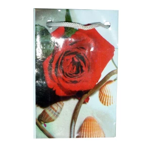 Фотография Пакетик для подарка Роза с ракушками 6x9,5см K-06211