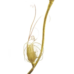 Купить в Великих Луках Сухоцвет ветка с капрон. цветками 897-5 (цена за ветку) 150см