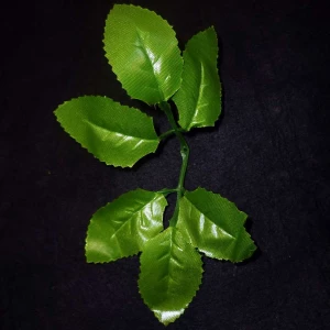 Фотография Лист для розы шестилистик завод (610 шт/кг)