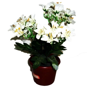 Заказываем в Йошкар-Оле Букет цветов в горшочке 911-01 25см