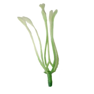 . Продаётся Добавка тычинка лилии салатово-белая 6,5см 2268шт/кг