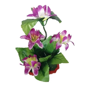 Купить в Архангельске Цветы в горшке 5 лилий с тройными листьями