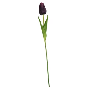 Фотография Тюльпан одиночный 6x8,5см с двойным листом 60см