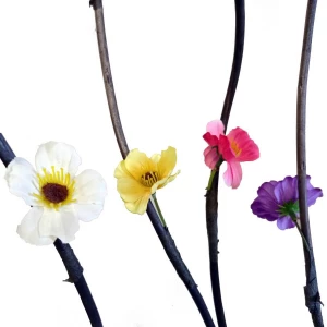Заказываем в Архангельске Сухоцвет средние цветы 888-3 888-4 888-6 150см (цена за ветку)