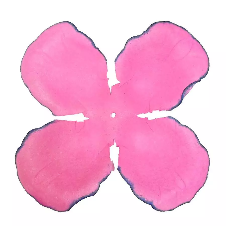 Заг-ка для розы YZ-19 розовой с син.кантом 4-кон. больш. кругл. 10-11,8см 1779шт/кг фото 1