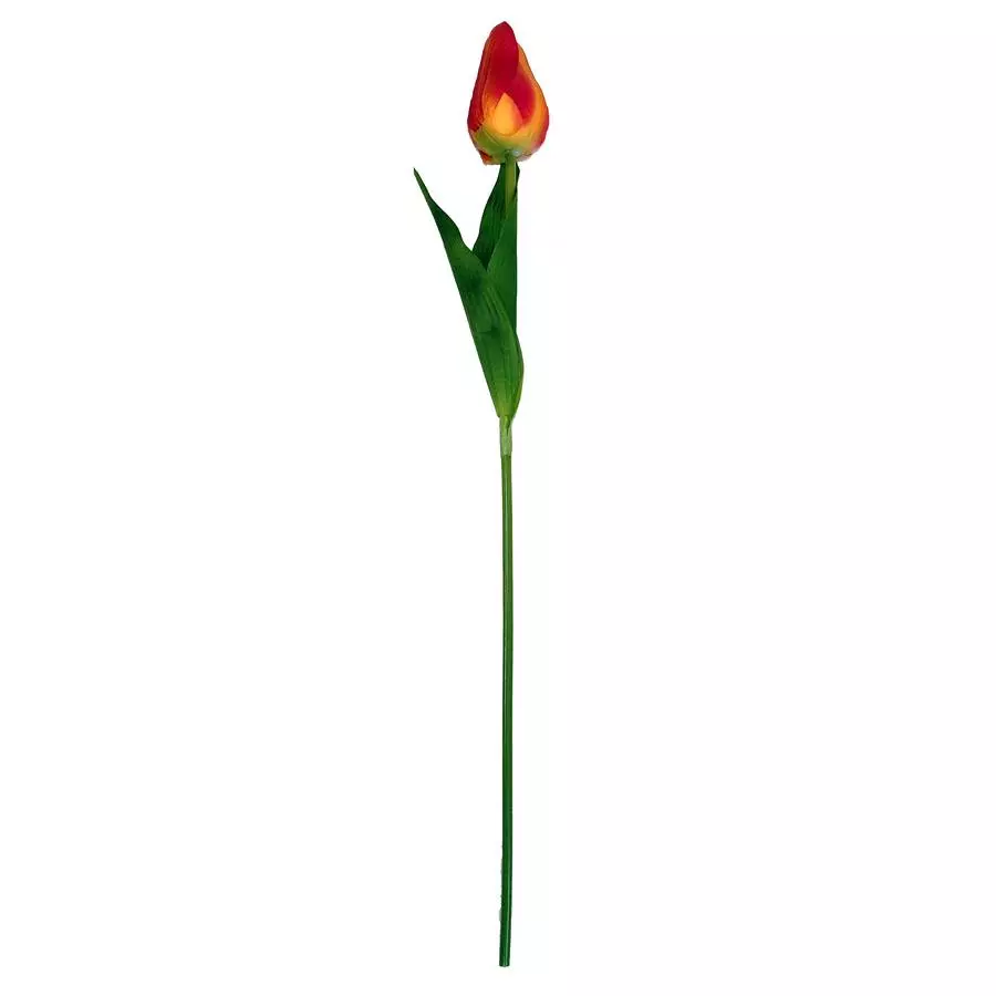 Тюльпан одиночный 6x8,5см с двойным листом 60см фото 3