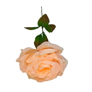 Фотка Роза с шестилистиком 46см 249-865