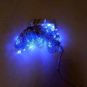 Заказываем  Гирлянда DL LED 100L 7м Синяя