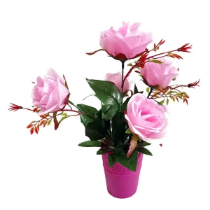 Приобретаем в Йошкар-Оле Цветы в горшке 5 роз с листьями