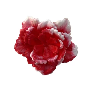 Фотография Головка розы Кристали (пластиковая) красная 5сл 7,5см 1/30