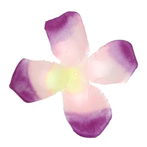 Фотография Заг-ка для розы YZ-3 розовой с фиол.кантом 1-й сл. 4-кон. 12-14см 1248шт/кг