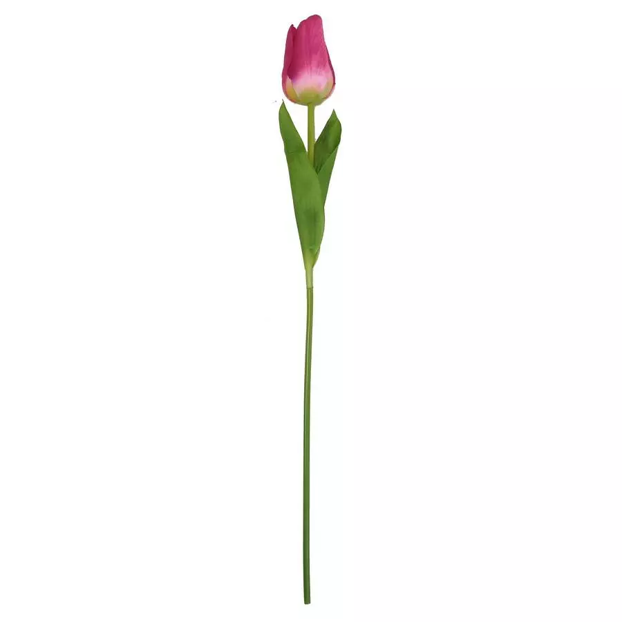 Тюльпан одиночный 6x8,5см с двойным листом 60см фото 5