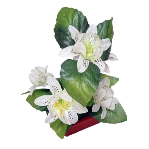 Купить в Йошкар-Оле Цветы в горшке 5 лилий с тройными листьями