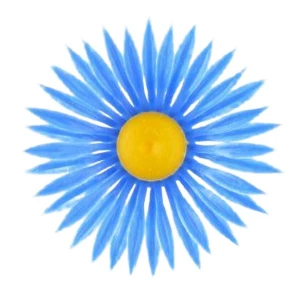 Купить в Йошкар-Оле СИНТИЯ Астра мини (917шт/кг) 5,5см 1/50