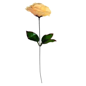 Картинка Роза пионовидная на стебле 43см 250-862