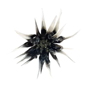 Фотография Добавка торчок Острые лепестки чёрная с бел.конц. KPL-36 5,5см 1073шт/кг