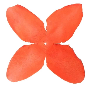 Картинка Заг-ка для розы YZ-2 оранжевой 4-кон. малый 9-11,5см 1969шт/кг