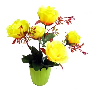 Заказываем в Норильске Цветы в горшке 5 роз с листьями