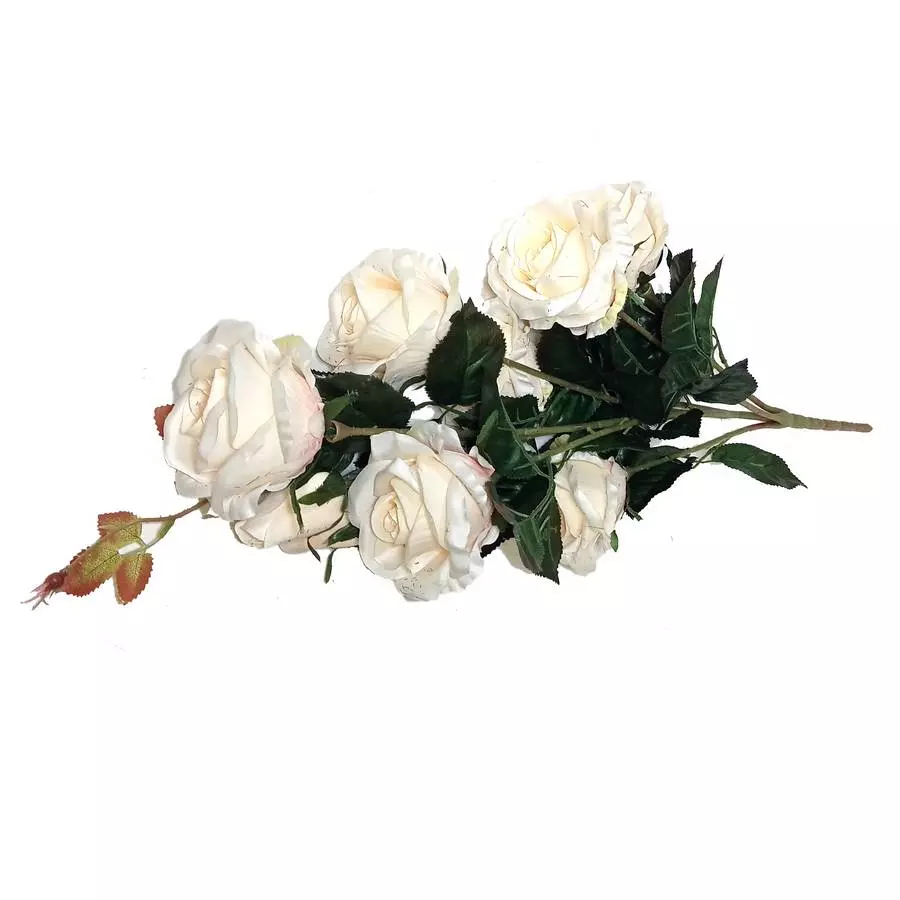 Фотография Букет с 7 розами и 2 бутона НЕЖНЫЕ ЦВЕТА 76см