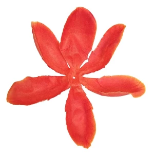 Фото Заг-ка для розы YZ-3 оранжевой с жёлт.кантом 2-ой сл. 6-кон. 14см 1170шт/кг