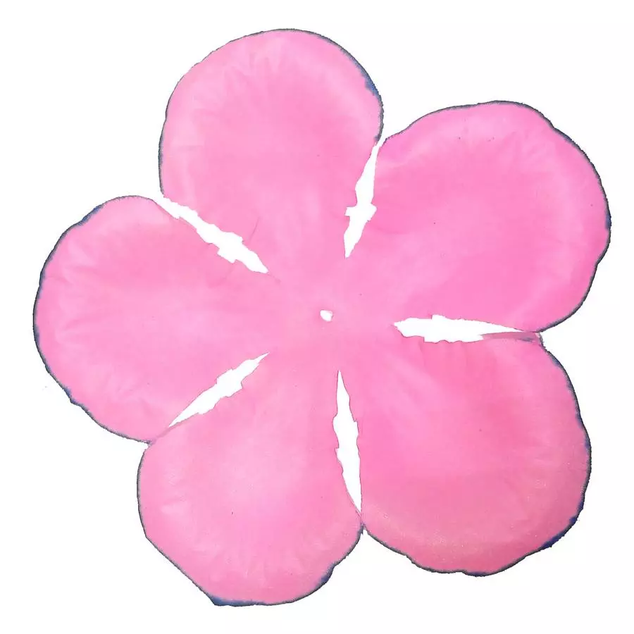 Заг-ка для розы YZ-62 розовой с син.кантом 5-кон. средн кругл. 13,5см 1044шт/кг фото 1