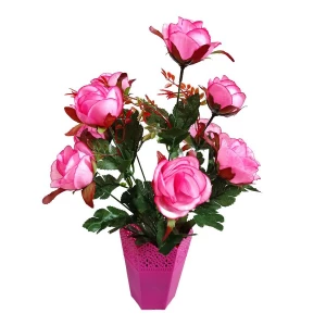 Купить в Санкт-Петербурге Цветы в горшке 10 роз с листьями