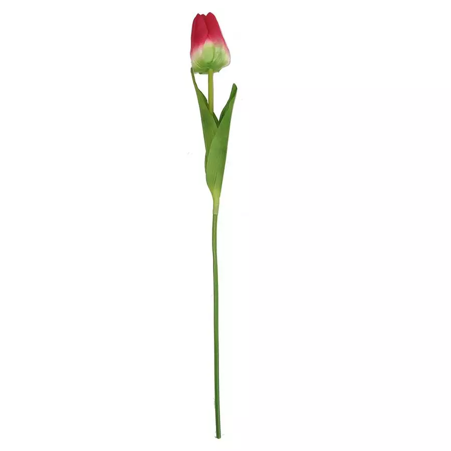Тюльпан одиночный 6x8,5см с двойным листом 60см фото 4