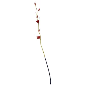Фотография Сухоцвет ветка с капрон. цветками 897-5 (цена за ветку) 150см