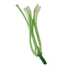 Заказываем  Добавка тычинка лилии салатово-белая 6,5см 2268шт/кг