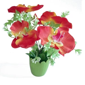 . Продаётся Цветы в горшке 5 орхидей с мелкими цветочками