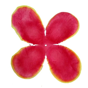 Фотография Заг-ка для розы YZ-65 оранжевой с жёлт.кантом 4-кон. мал. кругл. 10,5-13,5см 1761шт/кг