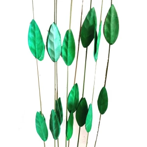 Фотография Набор Сухоцветов зелёные листики 110см