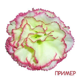 Санкт-Петербург. Продаётся Заготовка для роз-жёлт-зелёной гвоздики 4 слоя 1-3 (1972-511) Н34 (395 шт/кг)