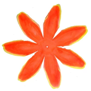 Картинка Заг-ка для георгина YZ-27 Оранжевая с жёлт.кантом 12,3см 1621шт/кг