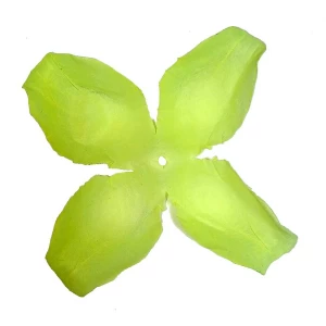 Фотография Заг-ка для розы YZ-8 лимонной 4-кон. малый узкий 10-12,5см 1337шт/кг
