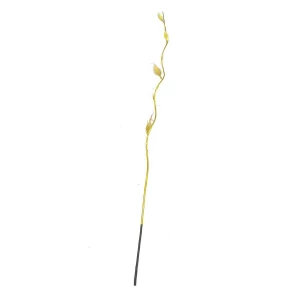 Заказываем в Норильске Сухоцвет ветка с капрон. цветками 897-5 (цена за ветку) 150см