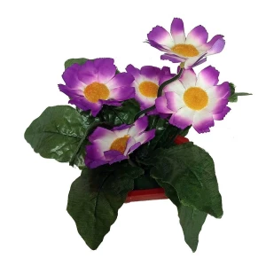 Йошкар-Ола. Продаётся Цветы в горшке 5 ромашек с густой листвой