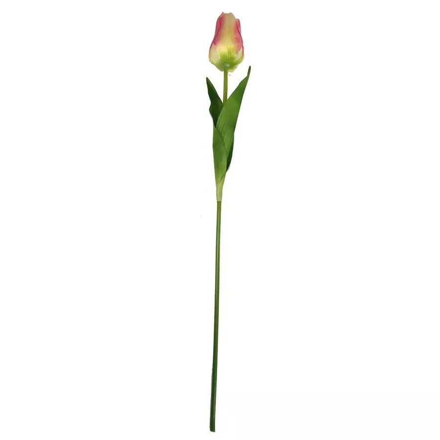 Тюльпан одиночный 6x8,5см с двойным листом 60см фото 7