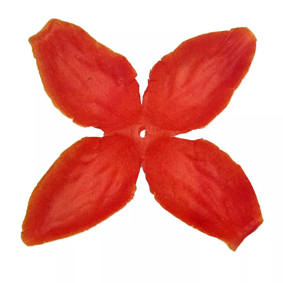 Заг-ка для розы YZ-72 оранжевой с жёлт.кантом 4-кон. мал. 9-12,8см 1838шт/кг фото 1