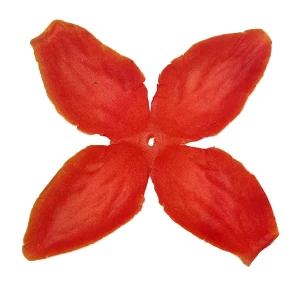 Фотография Заг-ка для розы YZ-72 оранжевой с жёлт.кантом 4-кон. мал. 9-12,8см 1838шт/кг