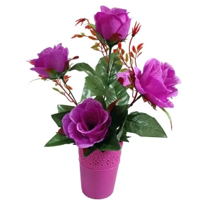 Заказываем в Санкт-Петербурге Цветы в горшке 5 роз с листьями